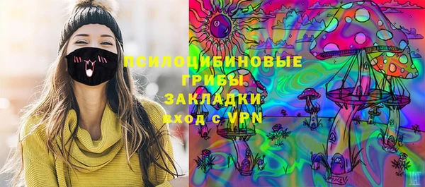 стаф Аркадак