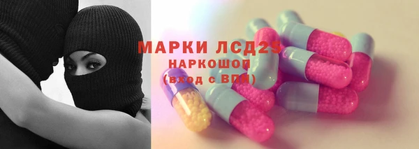 стаф Аркадак