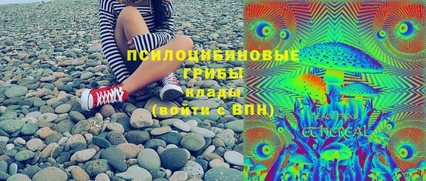 стаф Аркадак