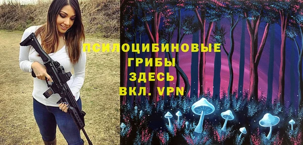 стаф Аркадак