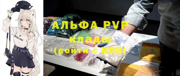 стаф Аркадак