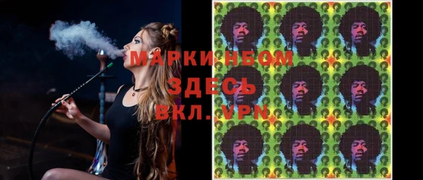 стаф Аркадак