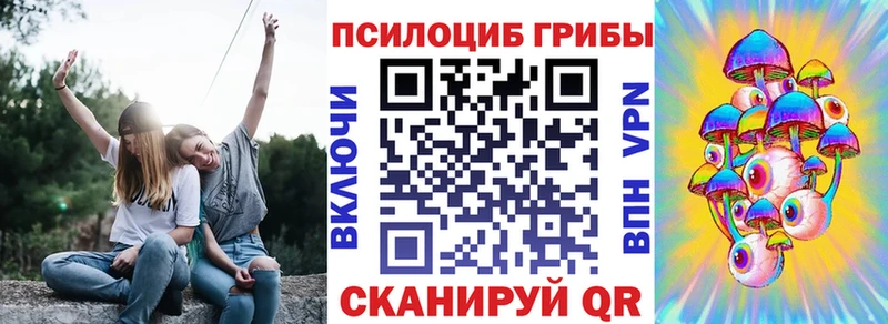 наркошоп  Магадан  Псилоцибиновые грибы GOLDEN TEACHER 